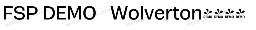 FSP DEMO   Wolverton字体转换